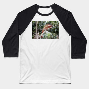 Panther chameleon, Madagascar Baseball T-Shirt